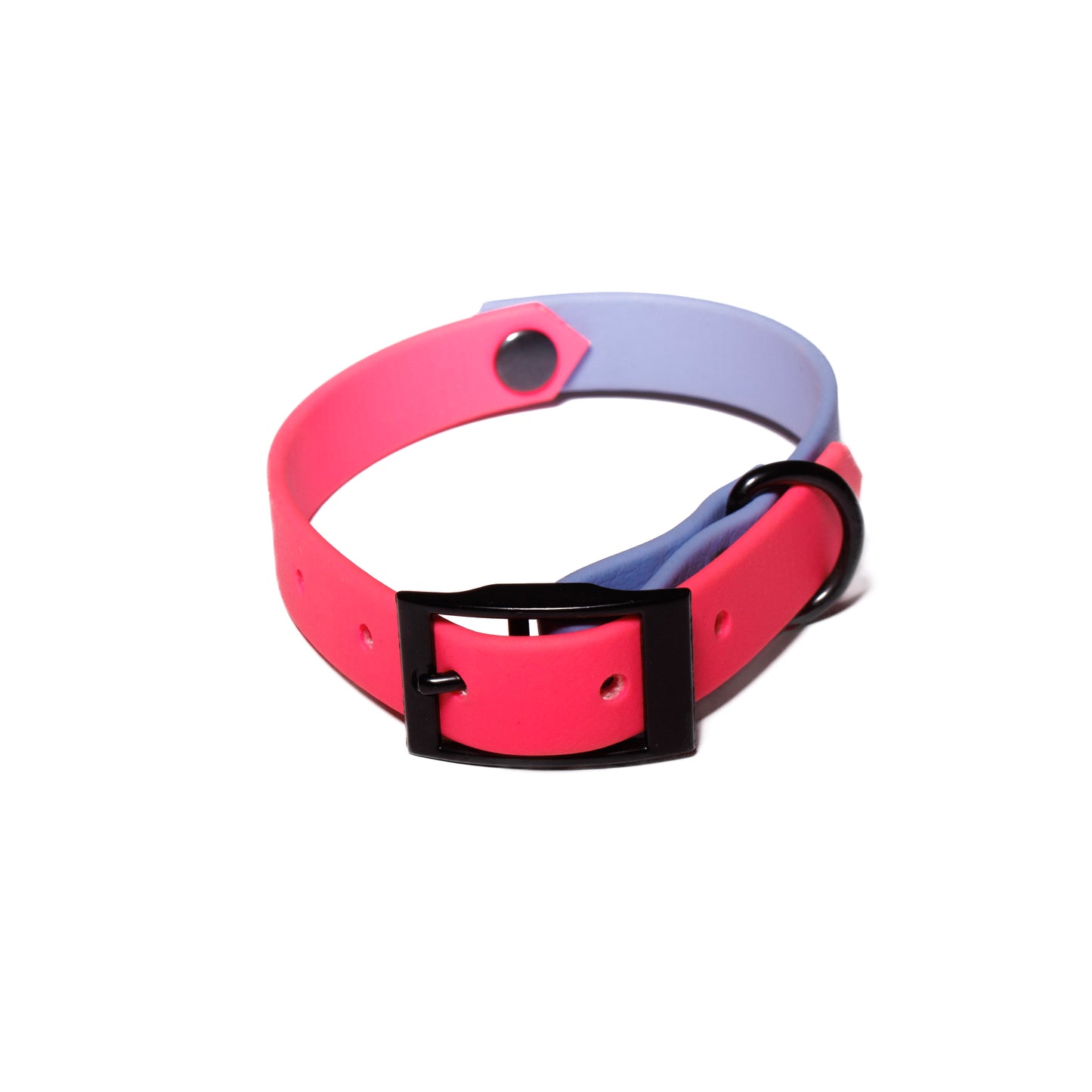 Neon Pink & Periwinkle  | Waterproof Biothane Dog Collar – Handmade in the UK