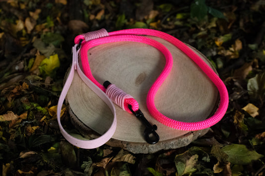 Neon Pink Dog Lead