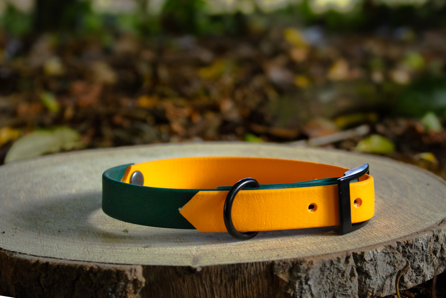 Orange & Forest Green Biothane Dog Collar | Waterproof & Durable