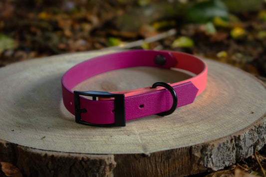 Magenta & Coral Biothane Dog Collar | Waterproof & Durable