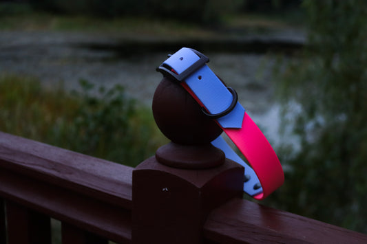 Polar Blue & Pink Biothane Dog Collar | Waterproof & Durable