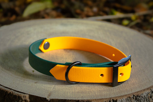Orange & Forest Green Biothane Dog Collar | Waterproof & Durable