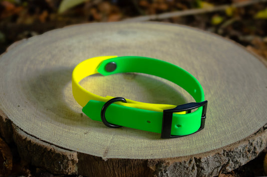 Neon Green & Neon Yellow Biothane Dog Collar | Waterproof & Durable