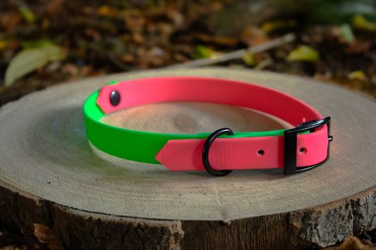 Neon Pink & Neon Green Biothane Dog Collar | Waterproof & Durable