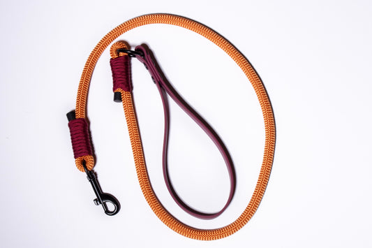 Flare | PPM Rope Dog Lead with Biothane Handle