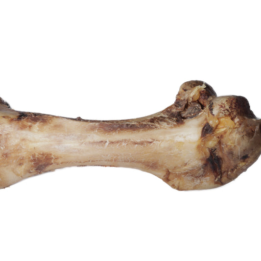 Jumbo Ostritch Bone | Natural Dog Treat
