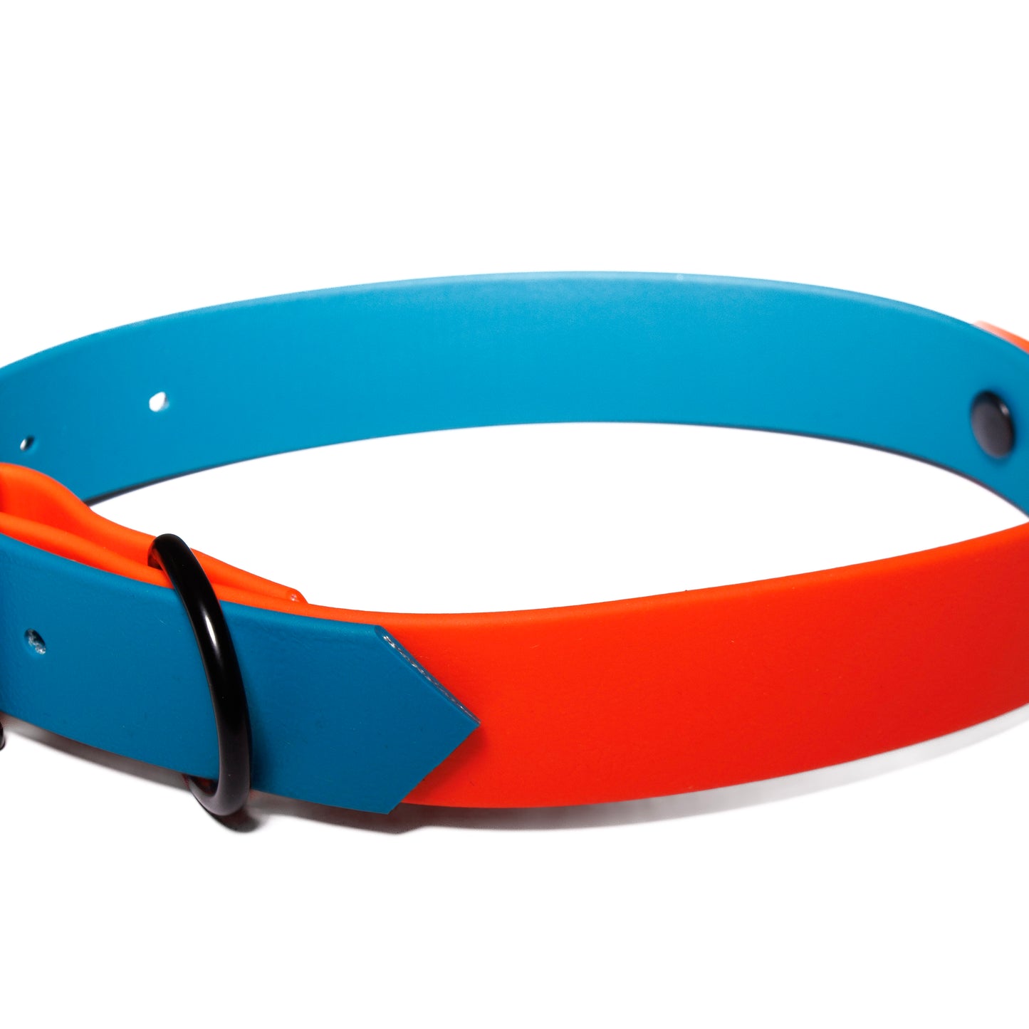Blue & Fox Orange | Waterproof Biothane Dog Collar – Handmade in the UK