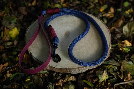 Navy Blue & Burgundy Dog Lead