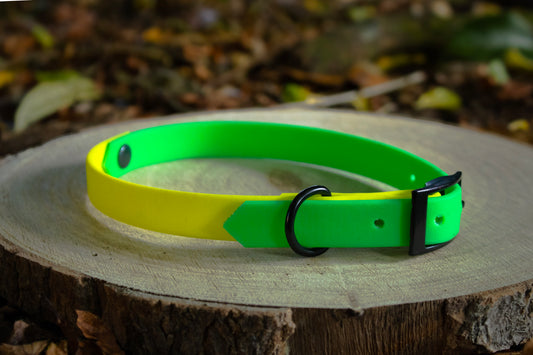 Neon Green & Neon Yellow Biothane Dog Collar | Waterproof & Durable