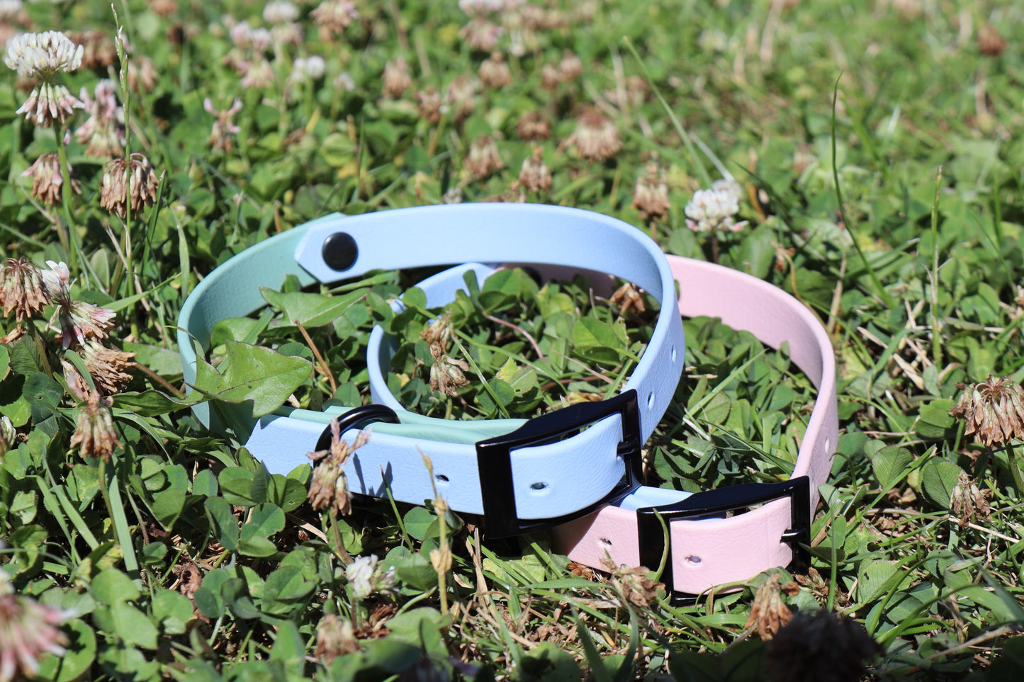 Two Tone Biothane Collar