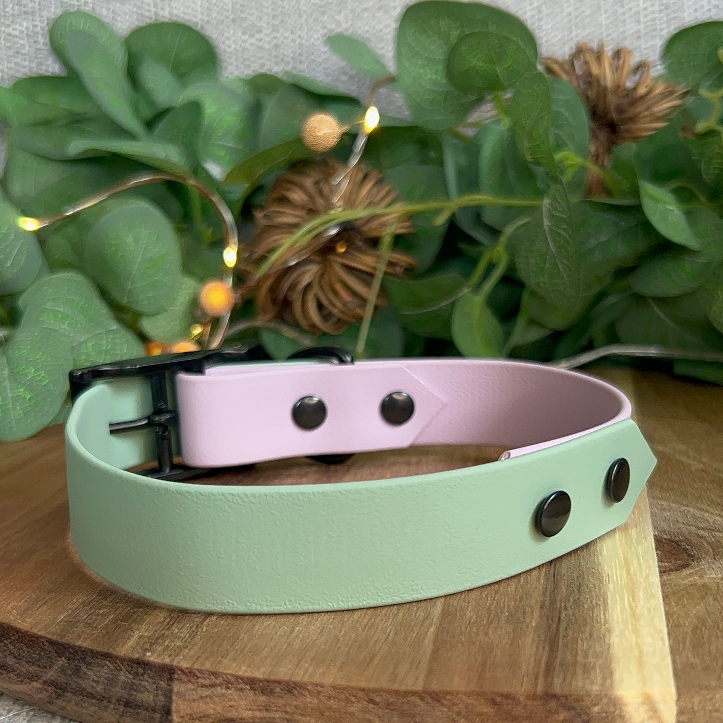 Two Tone Biothane Collar