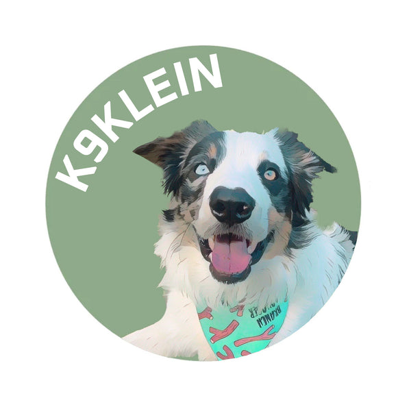 K9KLEIN