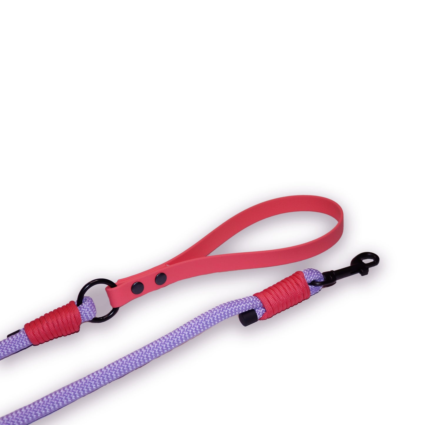 Girly Dog Lead