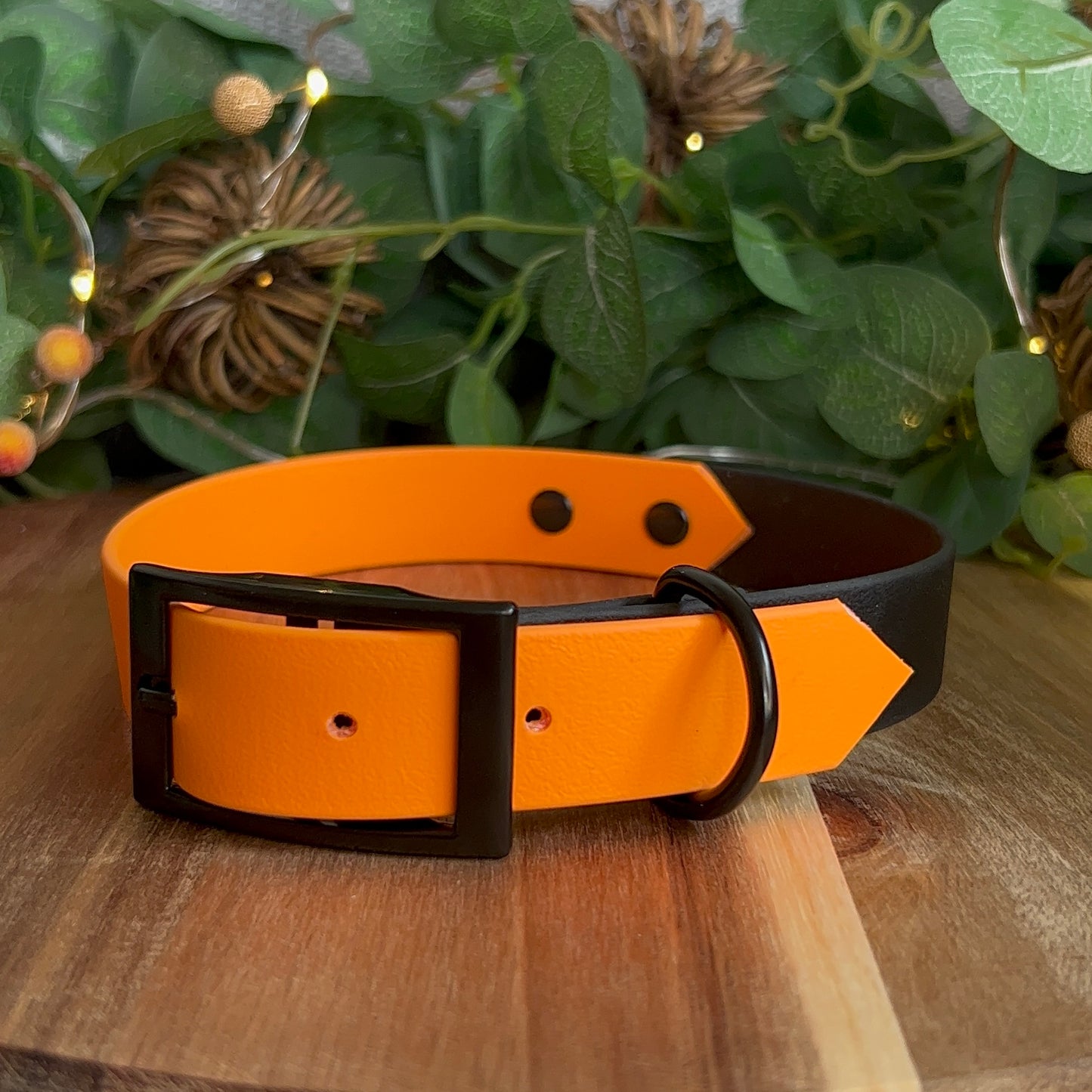 Two Tone Biothane Collar